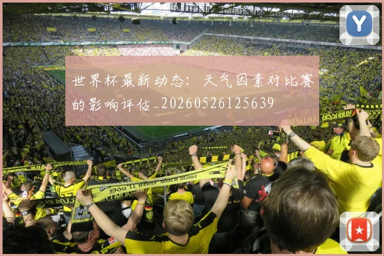 世界杯最新动态：天气因素对比赛的影响评估_20260526125639
