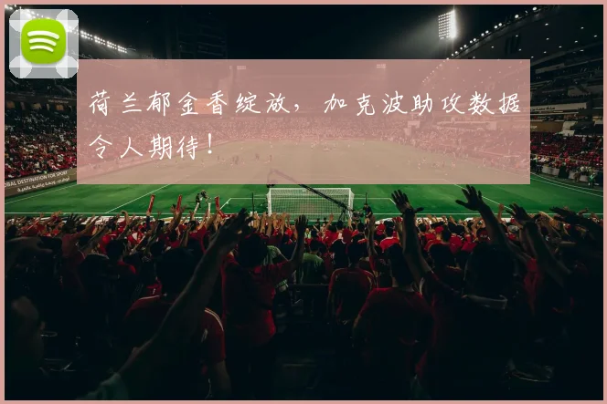 荷兰郁金香绽放,加克波助攻数据令人期待!