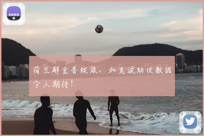 荷兰郁金香绽放,加克波助攻数据令人期待!