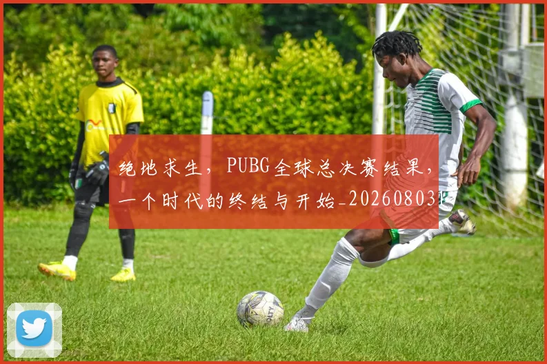 绝地求生，PUBG全球总决赛结果，一个时代的终结与开始_20260803142758
